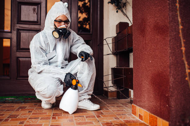 Reliable Ant Control contractor in Benson, NC by Nex Pest Control